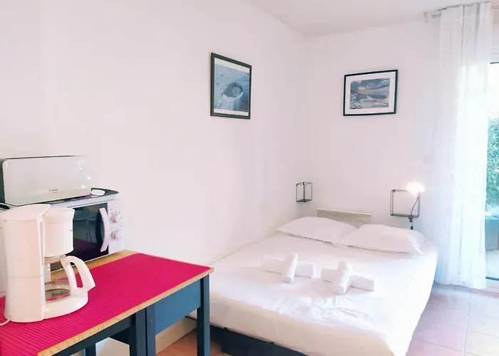 Apartment La Baignade De Montaigu, Piscine Et Garage Couvert Bayonne